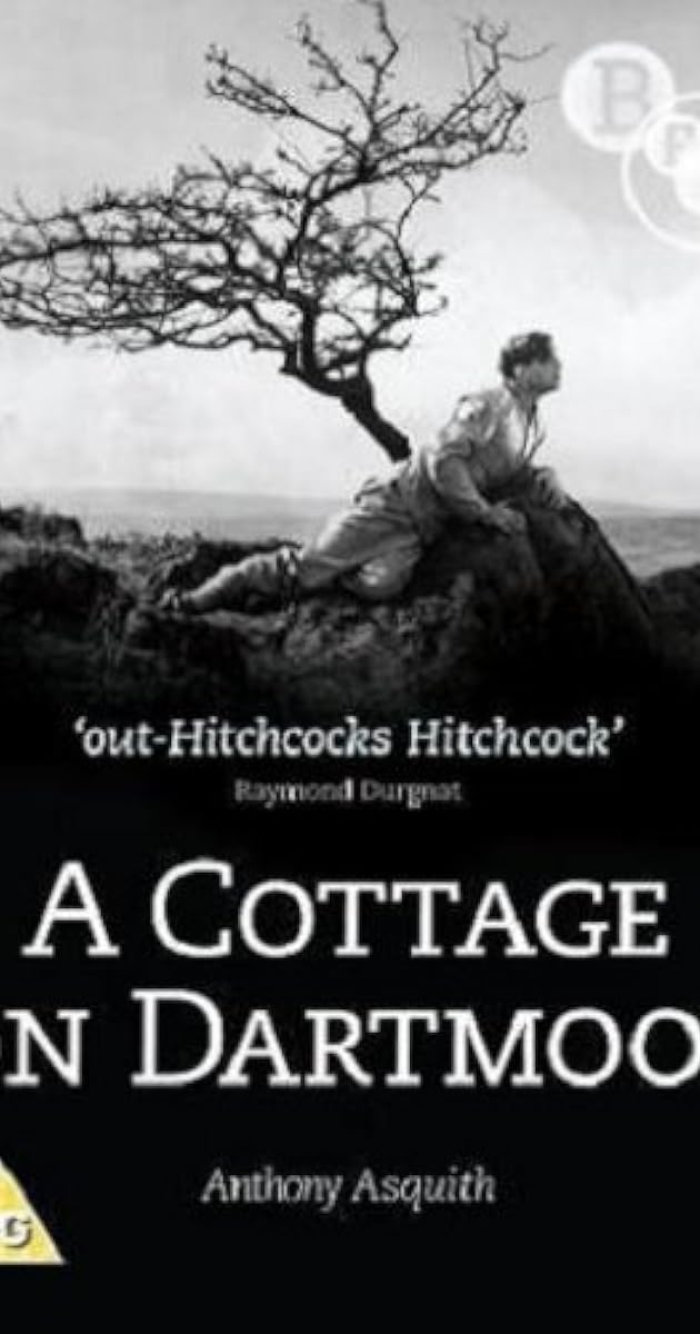 A Cottage on Dartmoor