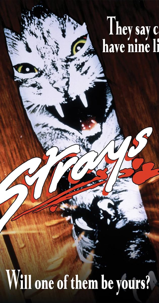 Strays