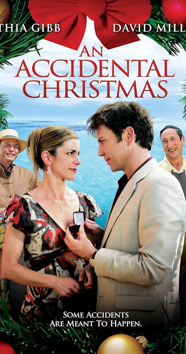An Accidental Christmas